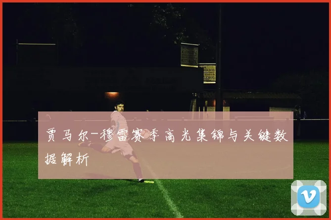 贾马尔-穆雷赛季高光集锦与关键数据解析