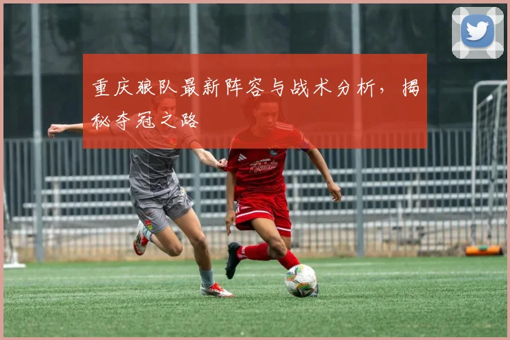 重庆狼队最新阵容与战术分析，揭秘夺冠之路