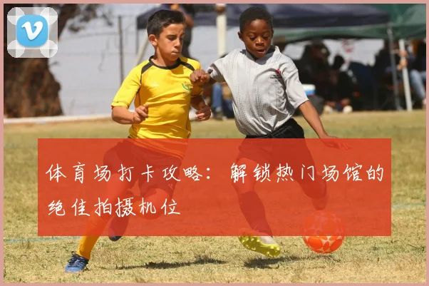 体育场打卡攻略：解锁热门场馆的绝佳拍摄机位
