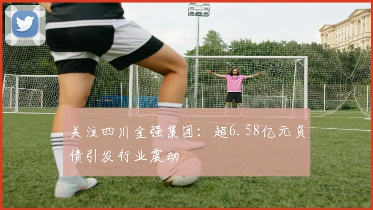 关注四川金强集团：超6.58亿元负债引发行业震动