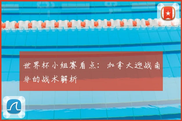 世界杯小组赛看点:加拿大迎战南非的战术解析