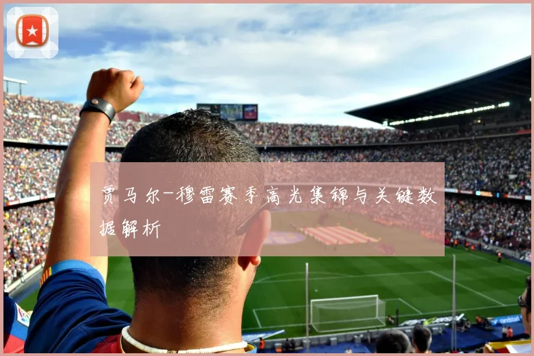 贾马尔-穆雷赛季高光集锦与关键数据解析